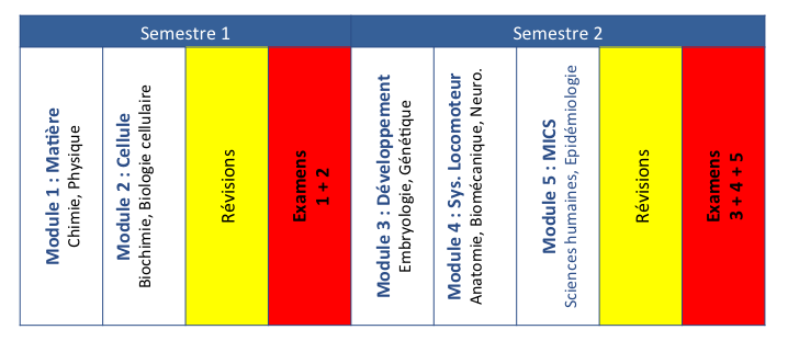 Est-ce que la médecine vous rend parfois stupide ?