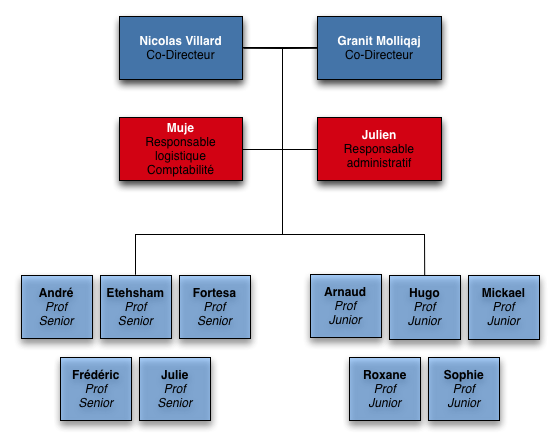 Organigramme